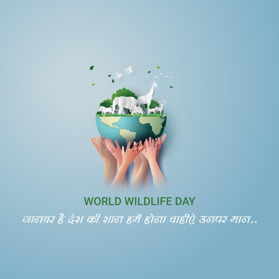 World Wildlife Day: 03 March | Download Poster, Status and hd PHotos Free 25 World Wildlife Day Free Stock Photo Download